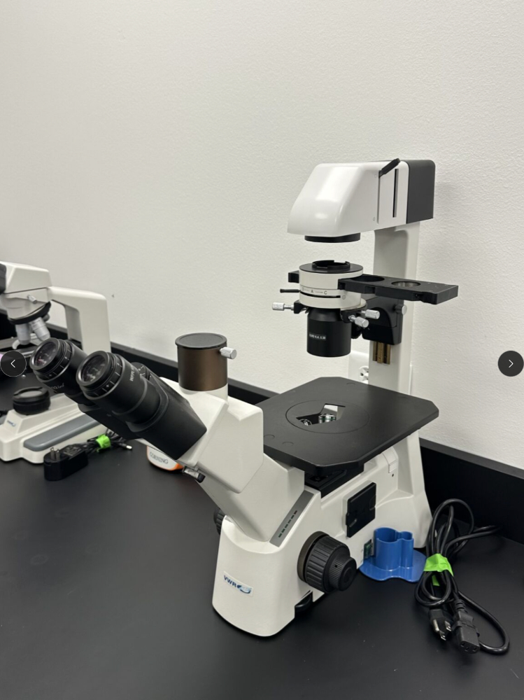 Image of VWR VistaVision Upright Compound Microscope with Halogen Illumination